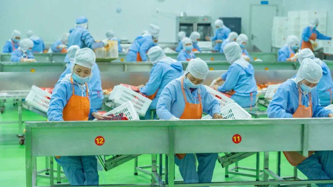 拾光悠味，拾光悠味官網(wǎng)，拾光悠味工廠，豆制品零食，網(wǎng)紅辣條，麻辣零食，網(wǎng)紅辣條代理，辣條品牌，手工辣條，休閑零食，休閑零食加盟