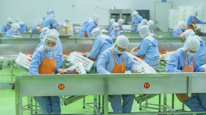 拾光悠味，拾光悠味官網(wǎng)，拾光悠味工廠，豆制品零食，網(wǎng)紅辣條，麻辣零食，網(wǎng)紅辣條代理，辣條品牌，手工辣條，休閑零食，休閑零食加盟