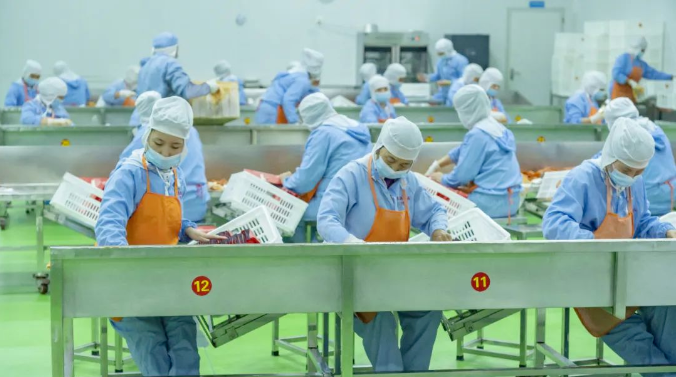 拾光悠味，拾光悠味官網(wǎng)，拾光悠味工廠，豆制品零食，網(wǎng)紅辣條，麻辣零食，網(wǎng)紅辣條代理，辣條品牌，手工辣條，休閑零食，休閑零食加盟